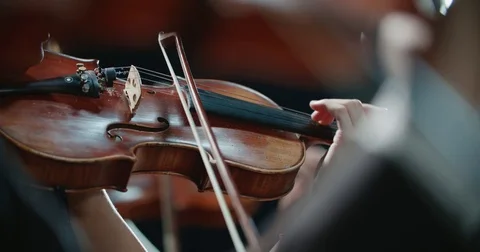 Symphony orchestra performance, close-up of stringed instruments at work Stock Footage 85044952