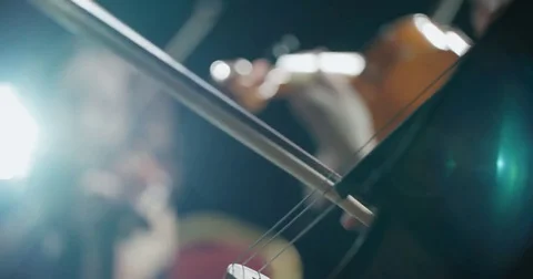 Symphony orchestra performance, close-up of stringed instruments at work Video stock 85045395