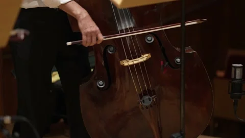 Symphony Orchestra Performance, Close-Up Of Stringed Cello Instruments At Stock Footage 194116804