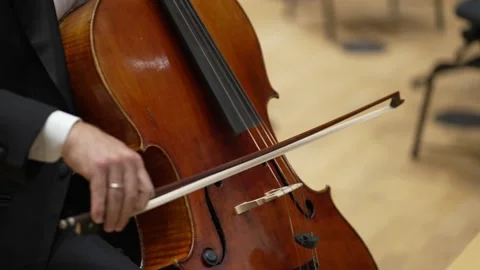 Symphony Orchestra Performance, Close-Up Of Stringed Cello Instruments At Stock Footage 194116813