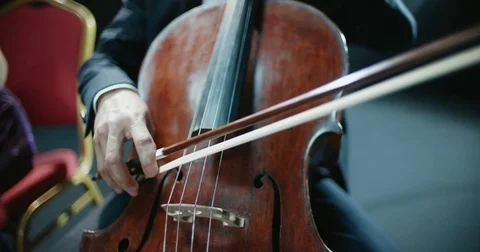 Symphony orchestra performance, stringed instrument cello detail shot Stock-Footage 84314589