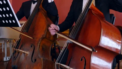 Symphony orchestra with performers playing double basses Video stock 196976904