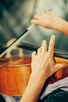 Symphony orchestra on stage, hands playing cello Fotos de archivo