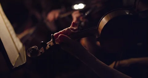Symphony orchestra violin 15 Stock Footage 107013672