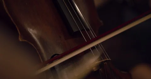 Symphony orchestra violin 4 Stock Footage 107012337