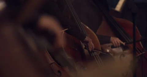 Symphony orchestra violin 9 Video stock 107013194