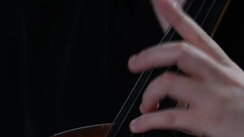 Symphony Orchestra violinist playing on the stage of a classical theater.  Stock Footage 277827443