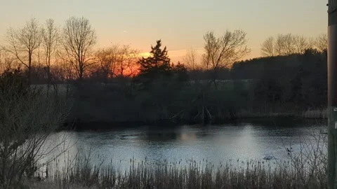 Symphony at the sunset Stock Footage 298788997