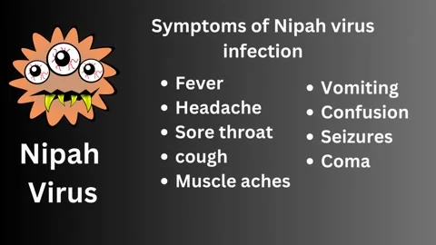 Symptoms of Nipah Virus Stock Footage 253144281