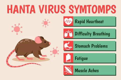 Symtomps Of Hanta Virus Illustrazione stock