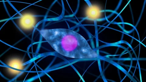 Synapases Stock Footage 91046942