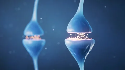 Synapse 3d animation showing neuron firing neurotransmitters in a dynamic a.. Stock Footage 332227425