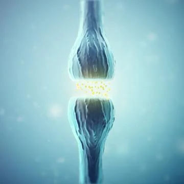 Synapse and Neuron cells sending electrical chemical signals. 3d rendering Stock Illustration