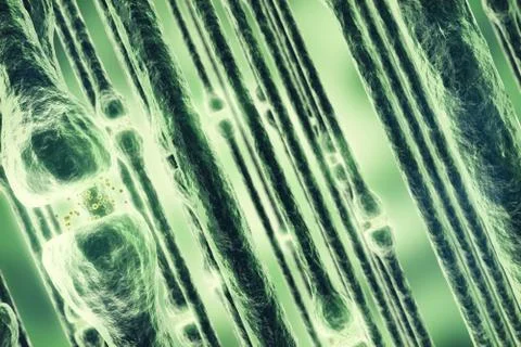 Synapse and Neuron cells sending electrical chemical signals. 3d rendering Illustrazione stock