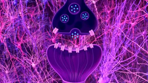 Synapse and neuron. Transmission of the nerve signal between two neurons with ax イラスト素材