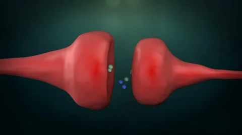 Synapse Animation 720p Stock Footage 987013