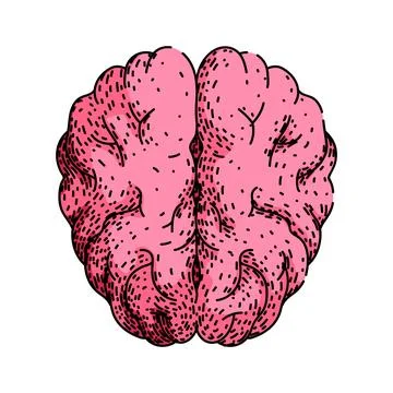 Synapse brain sketch hand drawn vector Illustrazione stock