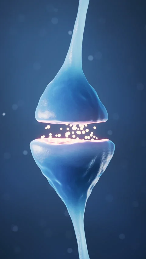 Synapse of neuron cell, biology concept, 3d rendering. Stock Footage 238776421