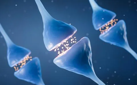 Synapse of neuron cell, biology concept, 3d rendering. Illustrazione stock