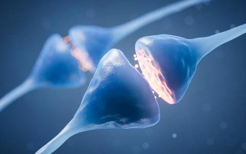 Synapse of neuron cell, biology concept, 3d rendering. Illustrazione stock