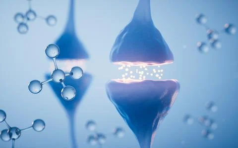 Synapse of neuron cell, biology concept, 3d rendering. Stock Illustration