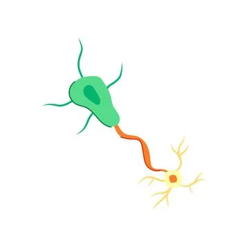 Synapse neurons cartoon vector illustration Stock Illustration