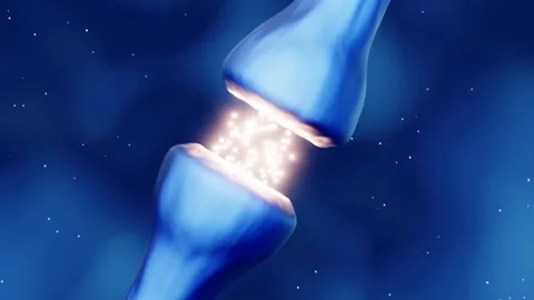 Synapse, neurotransmitter release Vidéo 151828703