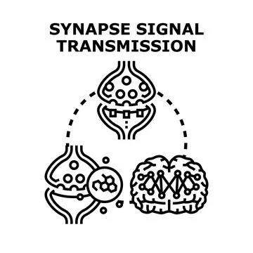 Synapse signal transmission process in brain activity Illustrazione stock