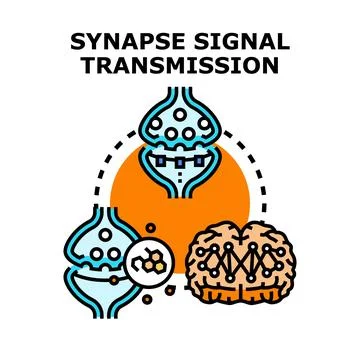 Synapse signal transmission process in brain activity Stock Illustration