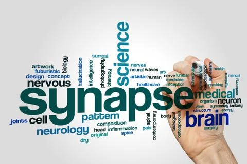 Synapse word cloud Stock Photos