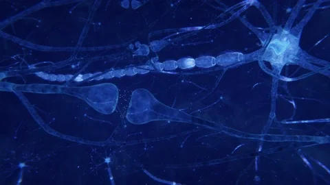 Synapses and axones transmitting electrical signals. Stock Footage