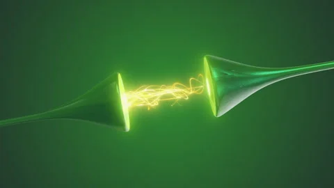 Synapses and Neurons Supporting Neural Signal Transmission Stock Footage 292392451