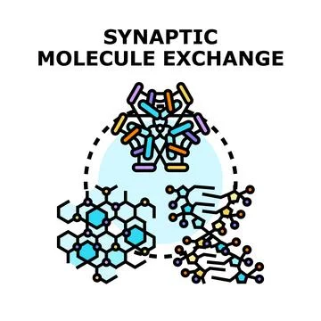 Synaptic molecule exchange in biological cells Stock Illustration