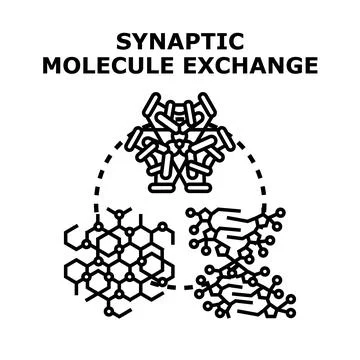 Synaptic molecule exchange in biological cells Stock Illustration