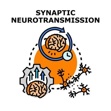 Synaptic neurotransmission process with brain activity and neuron connections Stock Illustration