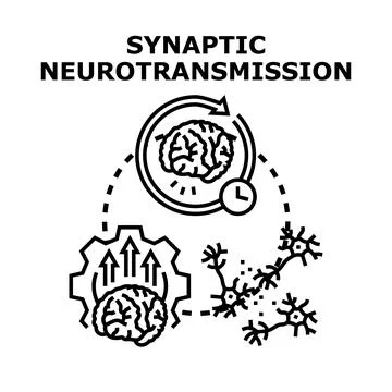 Synaptic neurotransmission process with brain activity and neuron connections Stock Illustration
