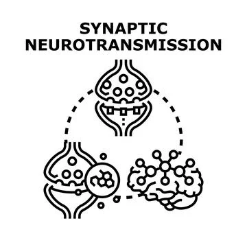 Synaptic neurotransmission process illustrating brain neuron communication Stock Illustration
