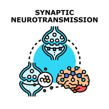 Synaptic neurotransmission process illustrating brain neuron communication Illustrazione stock