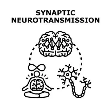 Synaptic neurotransmission process with neuron and brain function Stock Illustration