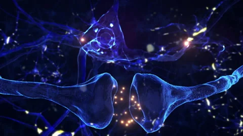 Synaptic Process, Nerve Cell Sending Electrical or Chemical Signals. Stock Footage 164463174