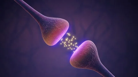 Synaptic Signals Driving Activity in Neural Pathways Stock Footage 294196425