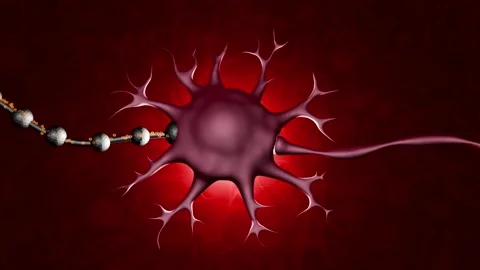 Synaptic transistors. Neuron with artificial connection. 3d animation render Stock Footage 280794425