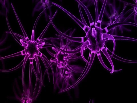 Synaptic transmission Stock Footage 77416178