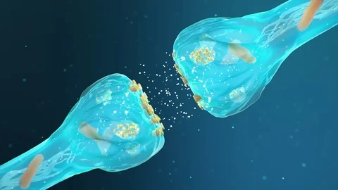Synaptic transmission, human nervous system. Brain synapses. Transmission Video stock 119534518