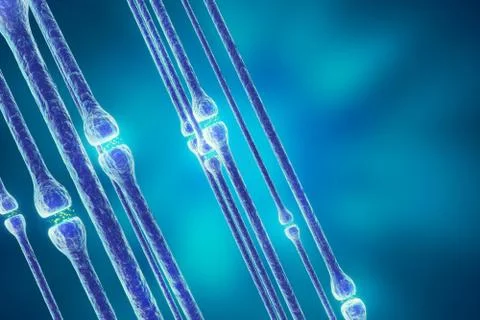 Synaptic transmission, human nervous system. 3d rendering Stock Illustration