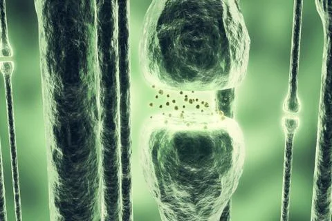 Synaptic transmission, human nervous system. 3d rendering Stock Illustration