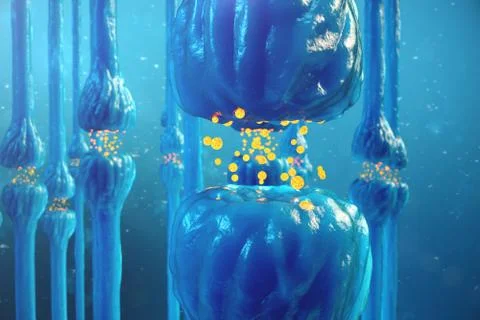 Synaptic transmission, human nervous system. Brain synapses. Transmission Stock Illustration