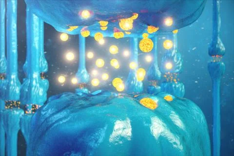 Synaptic transmission, human nervous system. Brain synapses. Transmission Stock Illustration