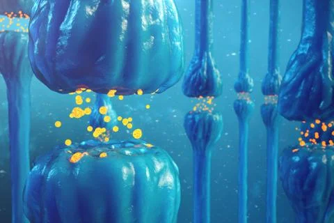 Synaptic transmission, human nervous system. Brain synapses. Transmission Stock Illustration