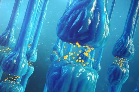 Synaptic transmission, human nervous system. Brain synapses. Transmission Stock Illustration